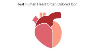 Real Human Heart Organ Colored Icon In Powerpoint Pptx Png And Editable Eps Format