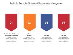 Real life example efficiency effectiveness management ppt powerpoint presentation ideas designs cpb