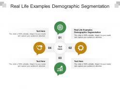 Real life examples demographic segmentation ppt powerpoint presentation summary samples cpb