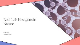 Real Life Hexagons In Nature PPT Presentation AT