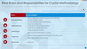 Real Roles And Responsibilities For Crystal Methodology Ppt Rules