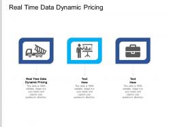 Real time data dynamic pricing ppt powerpoint presentation infographic template graphic tips cpb