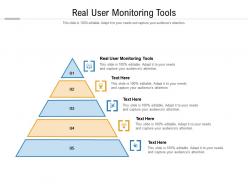 Real user monitoring tools ppt powerpoint presentation icon maker cpb