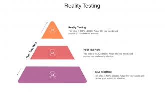 Reality testing ppt powerpoint presentation infographics example file cpb
