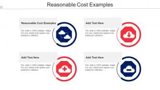Reasonable Cost Examples Ppt Powerpoint Presentation Slides Graphic Cpb