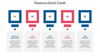 Reasons Build Credit Ppt Powerpoint Presentation Infographics Example Cpb