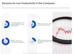 Reasons for low productivity in the company ppt powerpoint presentation infographic