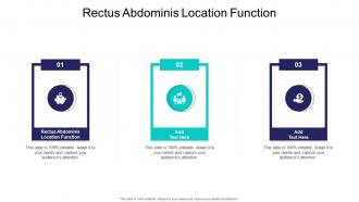 Rectus Abdominis Location Function In Powerpoint And Google Slides Cpb