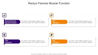 Rectus Femoris Muscle Function In Powerpoint And Google Slides Cpb