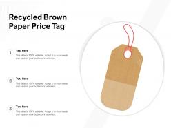 Recycled brown paper price tag
