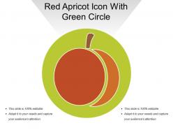 Red apricot icon with green circle