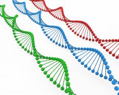 Red blue and green dna structure stock photo