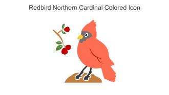 Redbird Northern Cardinal Colored Icon In Powerpoint Pptx Png And Editable Eps Format