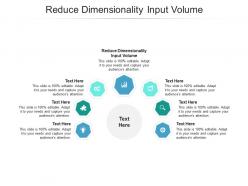 Reduce dimensionality input volume ppt powerpoint presentation model portrait cpb