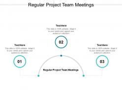 Regular project team meetings ppt powerpoint presentation gallery slides cpb