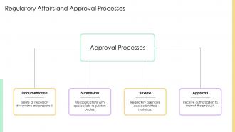 Regulatory Affairs And Approval Processes Camptothecin PPT Slides ST AI SS