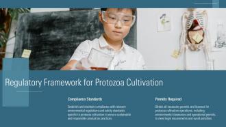 Regulatory Framework For Protozoa Cultivation Protozoa Productions PPT Example ACP