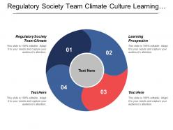 Regulatory society team climate culture learning prospective shareholder value