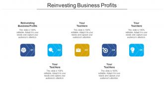 Reinvesting business profits ppt powerpoint presentation inspiration microsoft cpb
