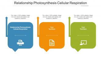 Relationship Photosynthesis Cellular Respiration Ppt Powerpoint Presentation Gallery Pictures Cpb