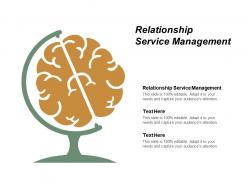 Relationship service management ppt powerpoint presentation file visuals cpb