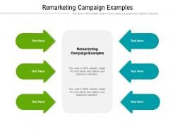 Remarketing campaign examples ppt powerpoint presentation infographics images cpb