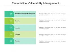 Remediation vulnerability management ppt powerpoint presentation file slide cpb