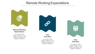Remote working expectations ppt powerpoint presentation portfolio ideas cpb