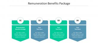 Remuneration benefits package ppt powerpoint presentation styles icons cpb