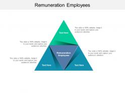 Remuneration employees ppt powerpoint infographic template clipart cpb