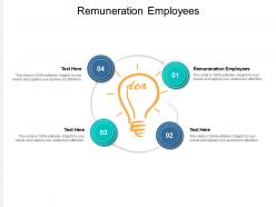 Remuneration employees ppt powerpoint presentation outline guidelines cpb