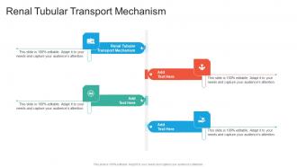 Renal Tubular Transport Mechanism In Powerpoint And Google Slides Cpb