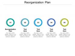 Reorganization plan ppt powerpoint presentation slides backgrounds cpb