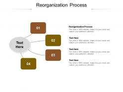 Reorganization process ppt powerpoint presentation portfolio graphics cpb