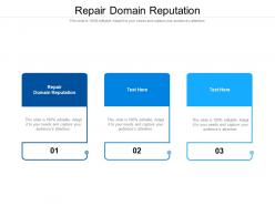Repair domain reputation ppt powerpoint presentation slides display cpb