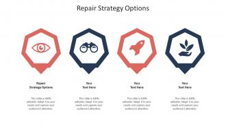 Repair strategy options ppt powerpoint presentation slides example topics cpb