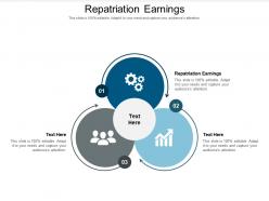 Repatriation earnings ppt powerpoint presentation icon background image cpb