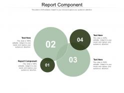 Report component ppt powerpoint presentation file gallery cpb