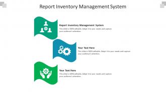 Report inventory management system ppt powerpoint presentation inspiration cpb