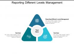 Reporting different levels management ppt powerpoint presentation portfolio graphic tips cpb