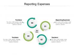 Reporting expenses ppt powerpoint presentation slides professional cpb