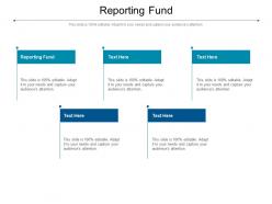 Reporting fund ppt powerpoint presentation show icon cpb