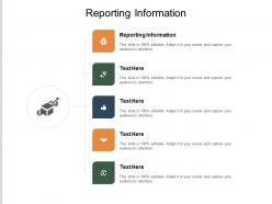 Reporting information ppt powerpoint presentation file layout cpb