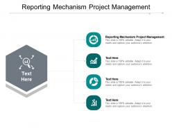 Reporting mechanism project management ppt powerpoint presentation icon template cpb