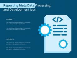 Reporting meta data processing and development icon