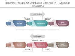 Reporting process of distribution channels ppt examples professional