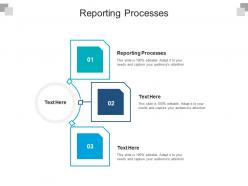 Reporting processes ppt powerpoint presentation styles show cpb