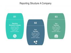 Reporting structure a company ppt powerpoint presentation pictures graphics cpb