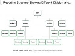 Reporting Structure Showing Different Division And Operations Marketing Finance