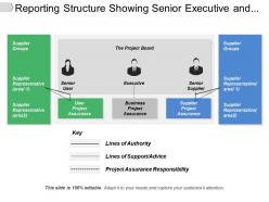 Reporting structure showing senior executive and supplier